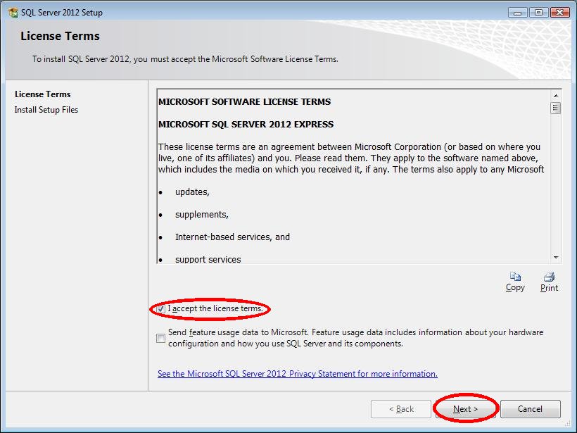Aceite a instalação do SQL Server Express 2012